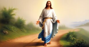 Walk in His Footsteps: The Inspirational Journey of Jesus Christ